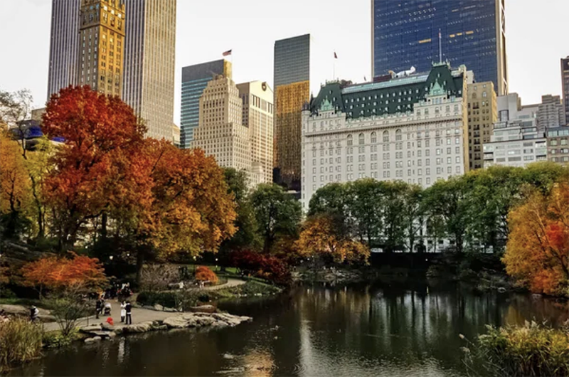 The Plaza's Real Estate Rollercoaster: A Tale of High Stakes and Missed Opportunities - 1 (800) 880-7954