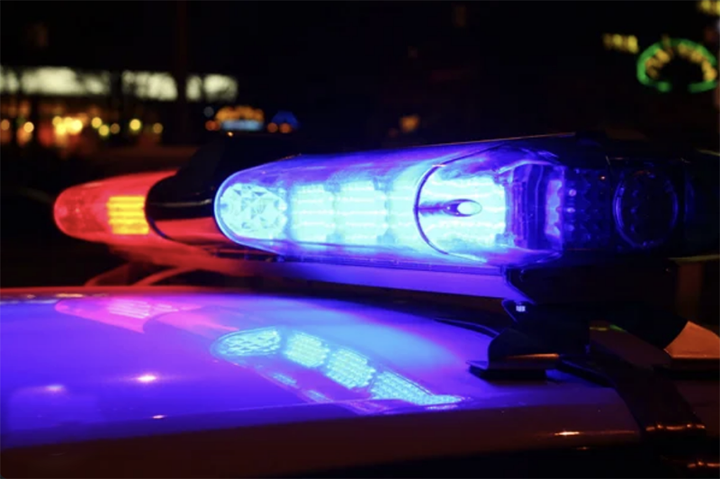 Riverhead Police Capture Wanted Man for Vehicle Gate Vandalism